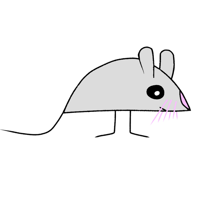 Squicks